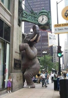 Elephant sculpture / street art