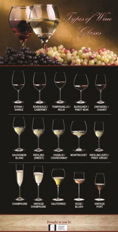 So many types of wine, so many glasses. Which is the correct one? BI Wine knows the best