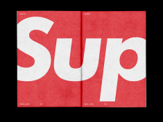 Supreme® Brand Guide // AND2ES™