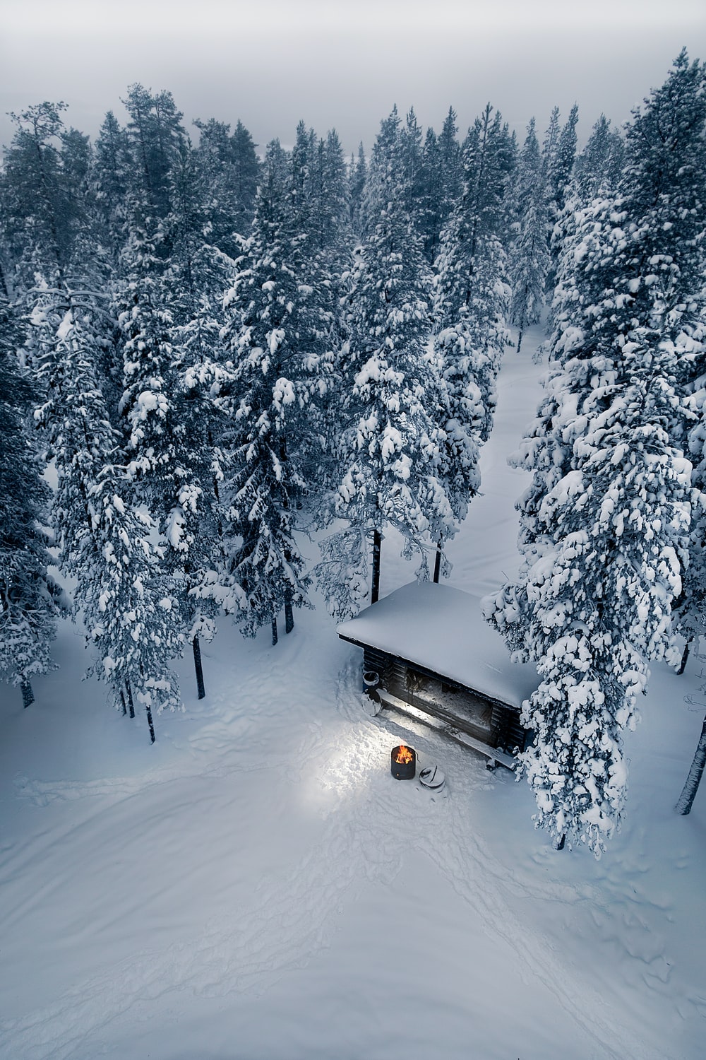 Winter grilling, Lapland, Finland