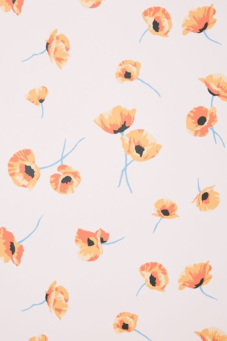 Poppy Wallpaper
