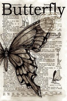 Pillangó, butterfly – transzfer képek, idézetek, érdekességek 2.