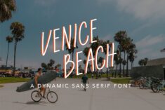 “Venice Beach” is a dynamic font inspired by Venice Beach, CA and their prominent sk ...