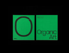 Organic Art. The Avant-garde in Petrograd.