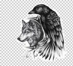 Common Raven Indian Wolf Tattoo Drawing PNG – Free Download