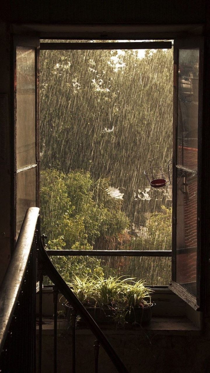sunlit rain | Nature aesthetic, Rainy day aesthetic, Aesthetic wallpapers