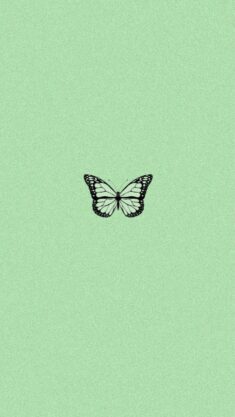 green aesthetic butterfly wallpaper 💚🦋