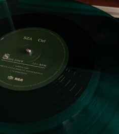 sza ctrl vinyl in 2022 | Dark green aesthetic, Vinyl aesthetic, Music cover photos