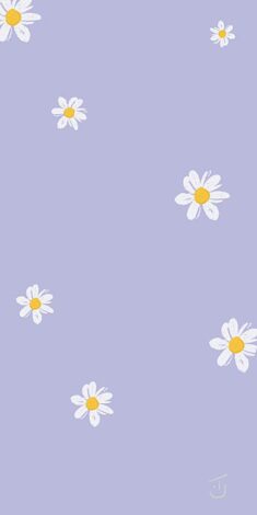 Small Daisy Purple Mobile Phone Wallpaper Background, Small Daisies, Purple Background, White Fl ...