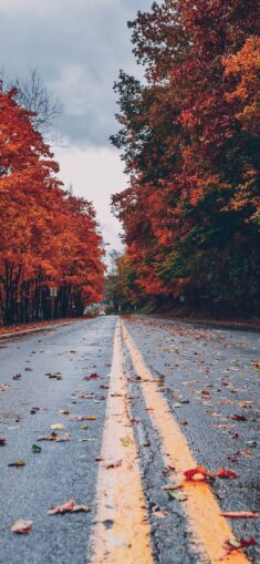 Fall Wallpapers for iPhone – FREE Download Best Autumn Wallpapers