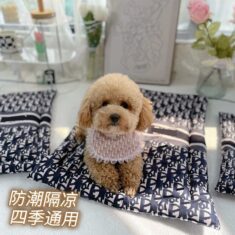 Dior pet mats luxury designer puppy mats small medium dog pet cushion mats washable pet mats dog ...