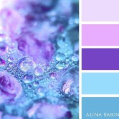 Colors by Alina Babina (@alinababinacolors) • Instagram photos and videos
