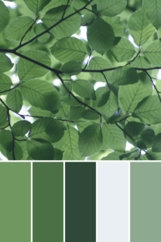 Spring Color Palettes – This Growing Home