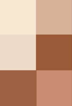 Brown Neutral Palette