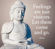 Feelings Are Just Visitors – Tiny Buddha
