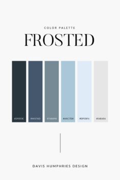 Frosted Blue Color Palette | Navy Blue Grey Monochrome Minimal Colors