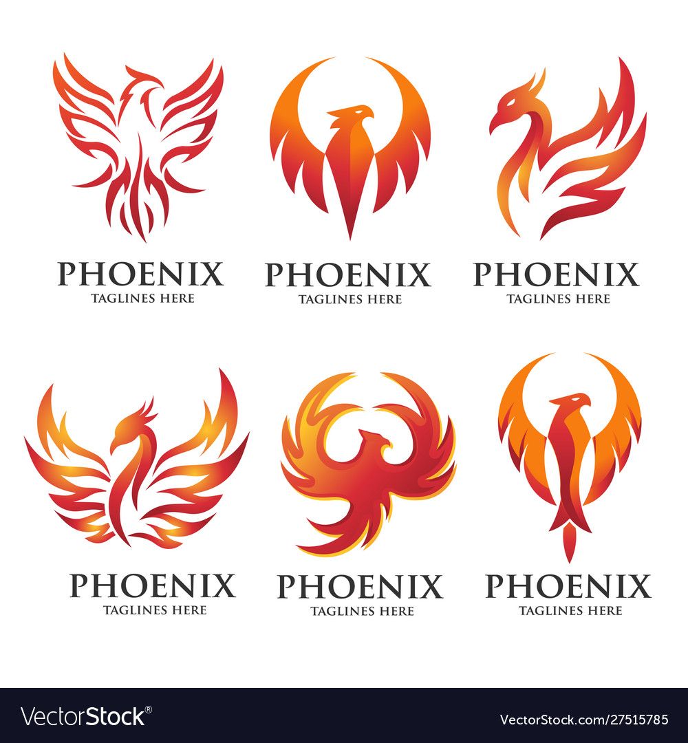 Luxury phoenix logo concept vector image on VectorStock