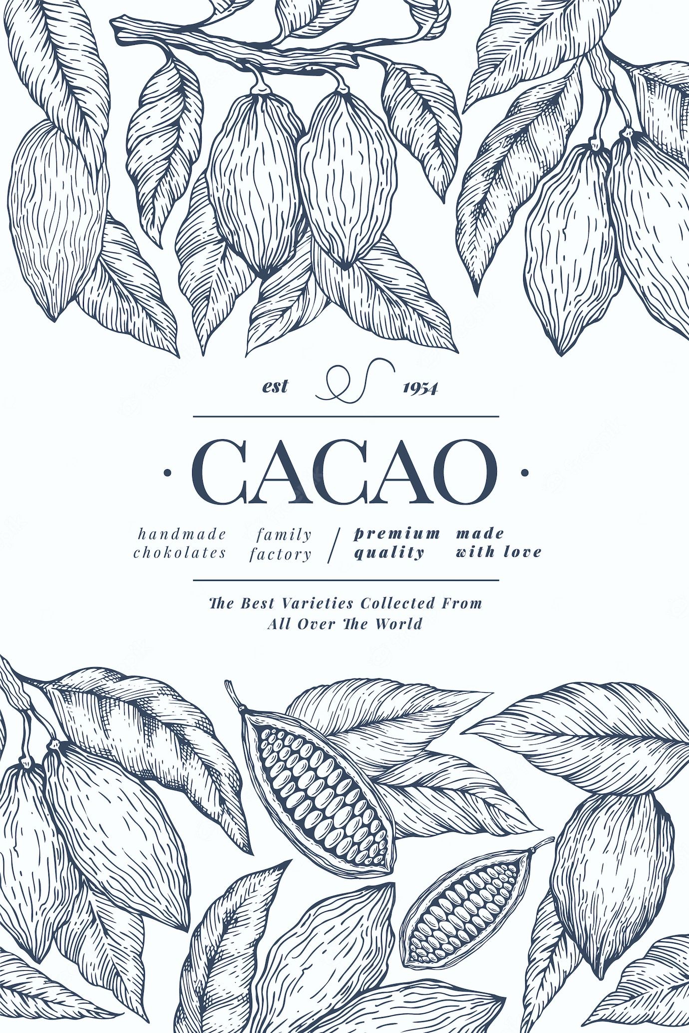 Premium Vector | Cocoa  template. chocolate cocoa beans background.  hand drawn illustration. vi ...