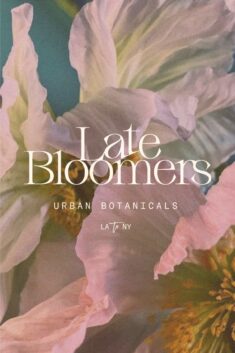 Branding & Identity fir Late Bloomers, an urban flower shop.