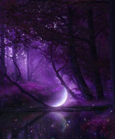 #Purple #PurpleAesthetic #Forest #Moon #Surreal #Myedit  #Luna #Bosque #Morado #Fantasy #Fantasi ...