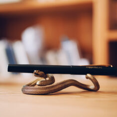 Bring your desk to life with the serpentine elegance of COPPERTIST.WU rattlesnake pen holder.