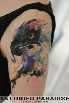 watercolor eagle by dopeindulgence on DeviantArt