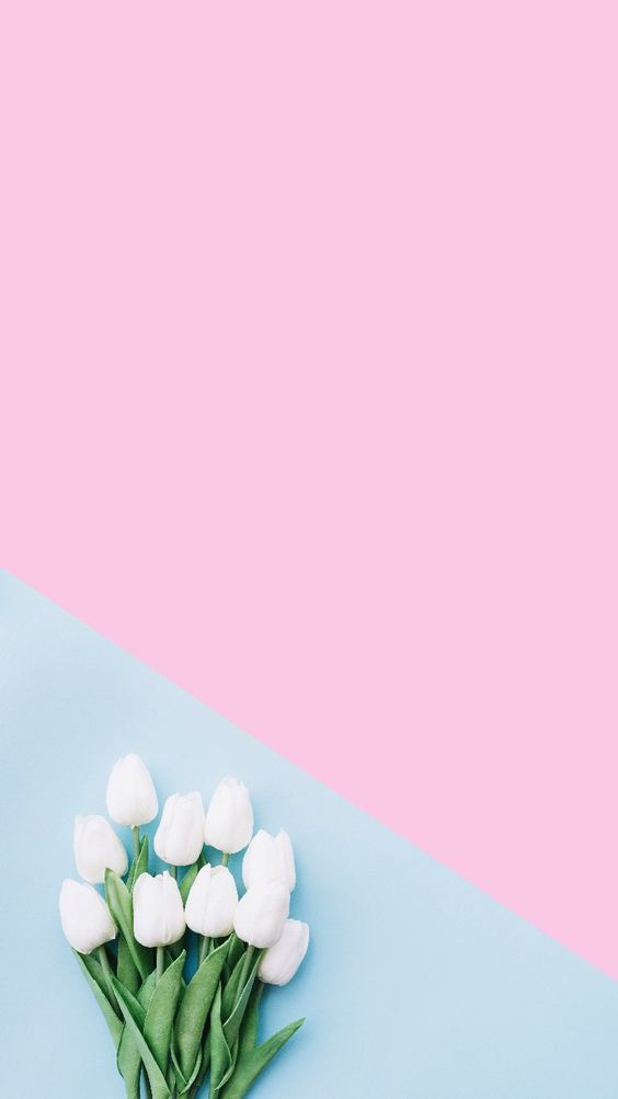 50+ Beautiful Flower Wallpapers For iPhone (Free Download!)