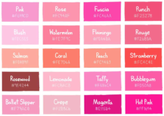 30 Different Types of Pink and Fuchsia Flowers (2023 List A-Z Photos)