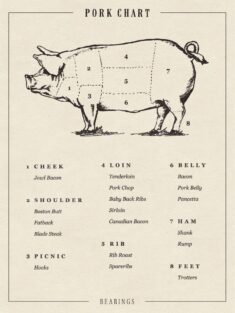 Hand-Drawn Infographics that Enrich the Southern Lifestyle