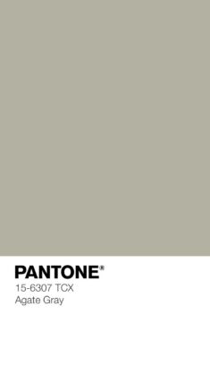 PANTONE 15-6307 TCX Agate Gray