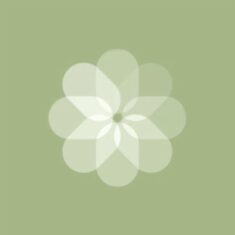 iOS 14 sage green photos | Mint green wallpaper iphone, Iphone wallpaper green, App icon design