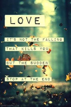 Love – It’s not the falling that kills you but the sudden stop at the end.
