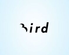 Art of Use of Negative Space : 35+ Bird Logo Examples