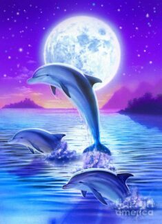 Day of the Dolphin Art Print by MGL Meiklejohn Graphics Licensing