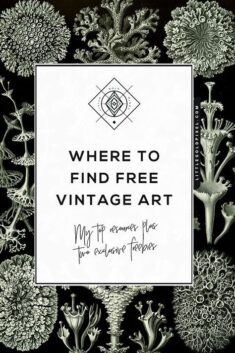 Free Vintage Art • Where to Find it + Exclusive Freebies • Little Gold Pixel