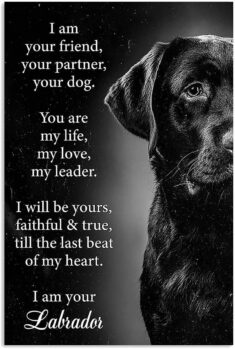 Poster   I M Your Friend Black Labrador Vertical Poster   Poster Wall Art Print Size X   Ta77