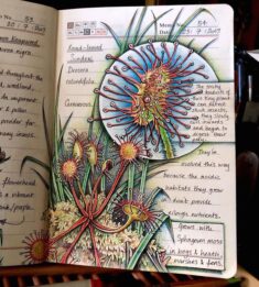 Woman Decides To ‘Record’ The Things She’s Discovering, Starts A Journal To Il ...