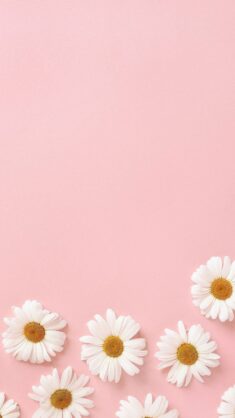 oldhomeideas.online | Aesthetic pastel wallpaper, Wallpaper iphone cute, Pink wallpaper iphone