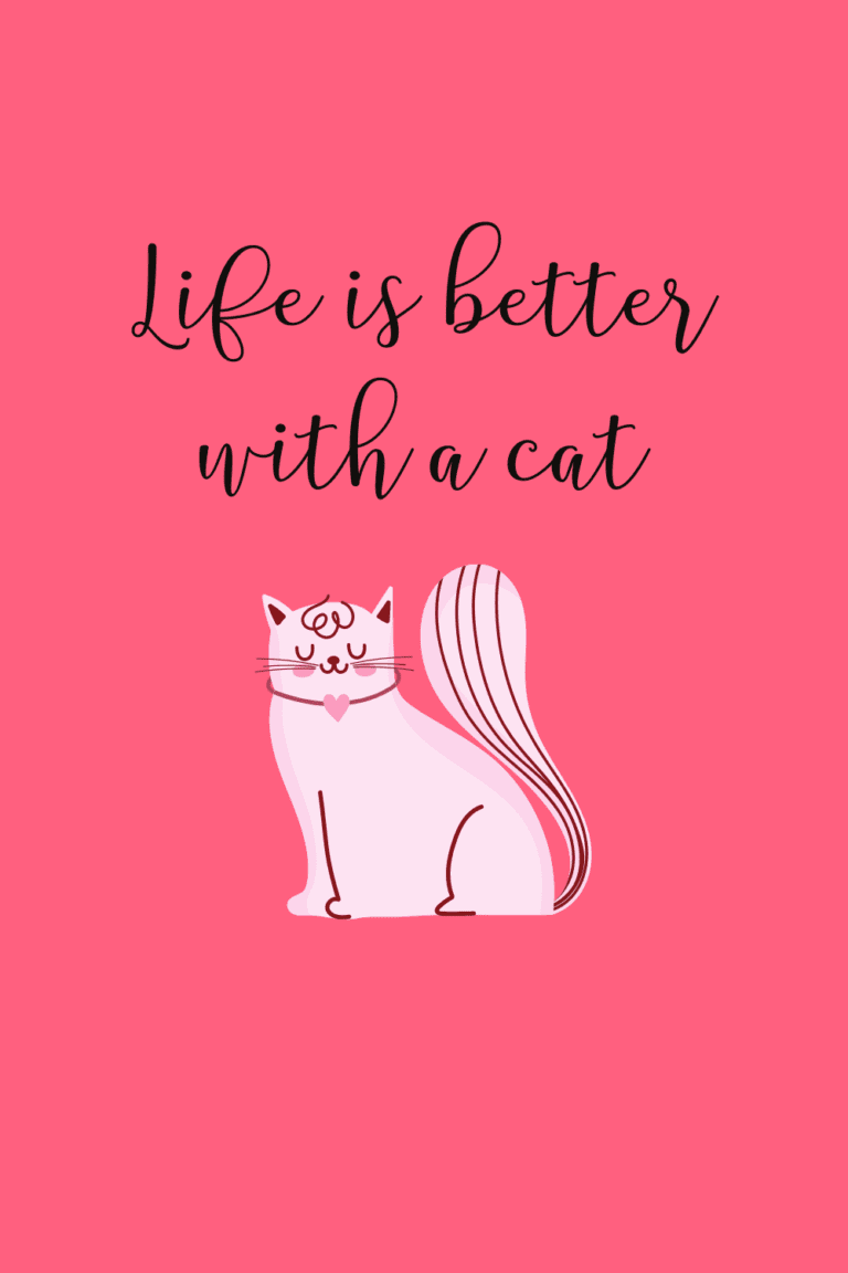 15 Short Cat Quotes {Cute and Funny for Cat Lovers!}