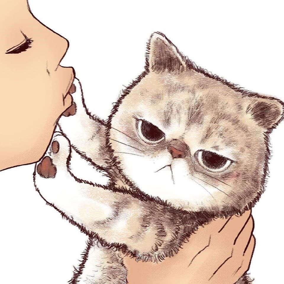 9 “No Kisses” Cat Illustrations That Are Adorable As Much As They Are True