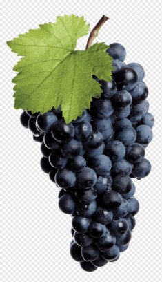 Common Grape Vine Red Wine White wine Isabella, purple grape logo, purple, wine Glass, food png