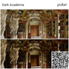 Dark Academia aesthetic polarr filter code