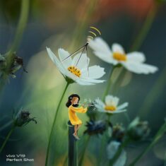 Indian Artist Creates A Little Girl Character To Give More Life To His Macro Photos And Instagra ...
