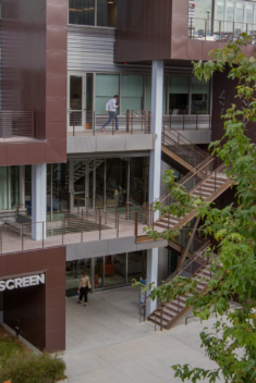 Precast Concrete Stair Treads Transform a Hip Outdoor Workspace in L.A.