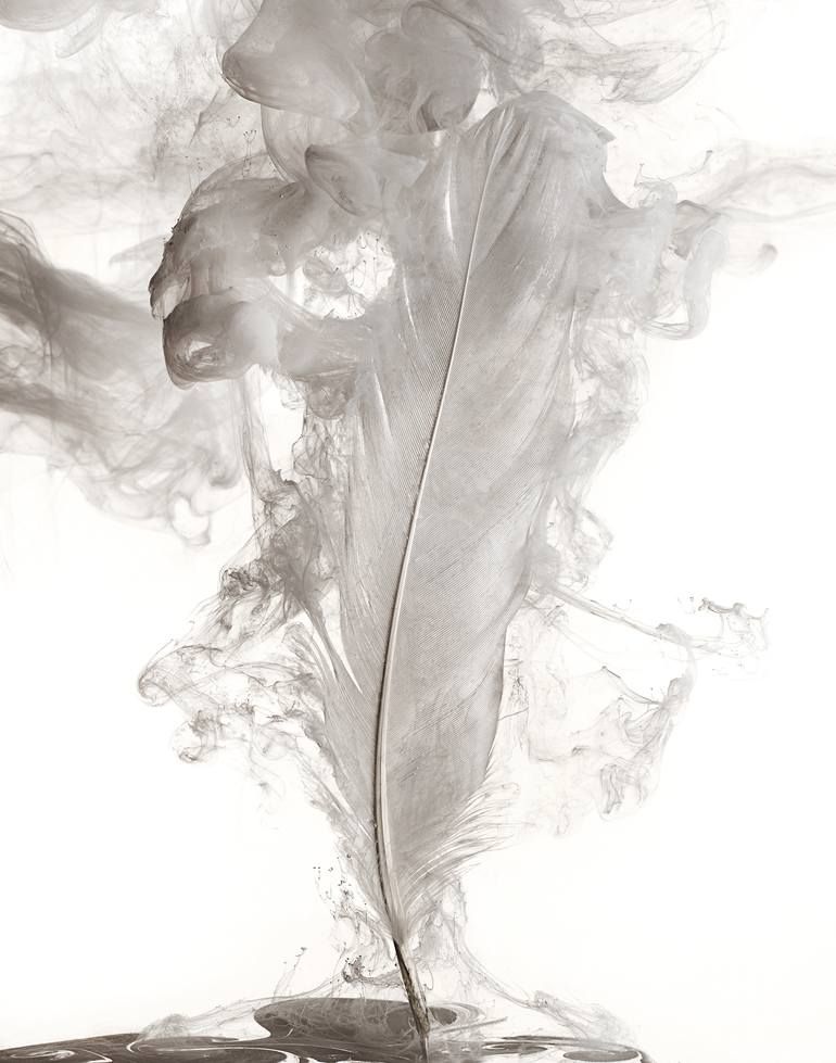 White Feather Limited Edition 2 of 10 Photograph