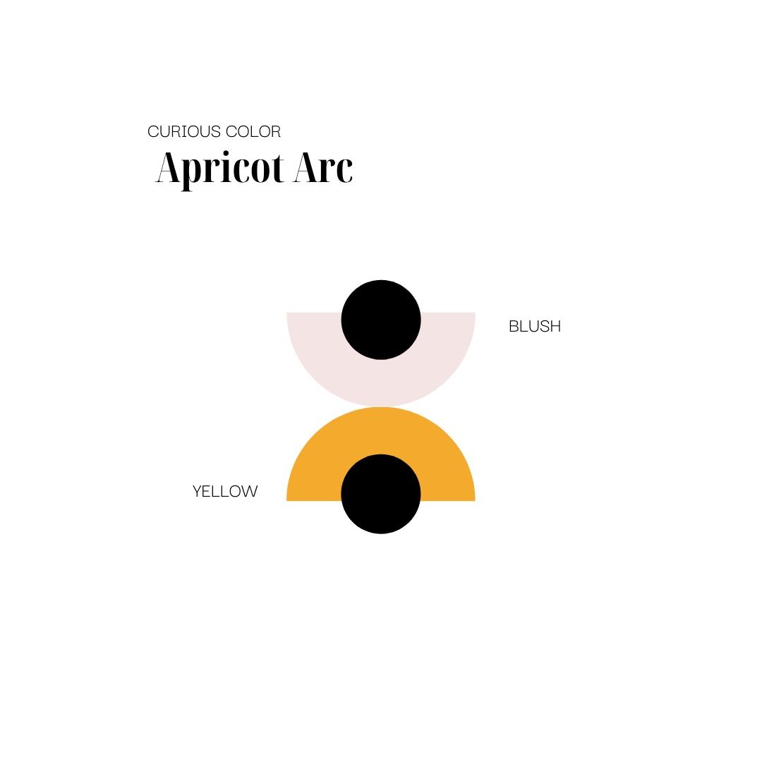 Apricot Arc 💛 Color Palette Scheme Inspiration Colour