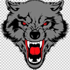 Gray Wolf Drawing PNG – Free Download