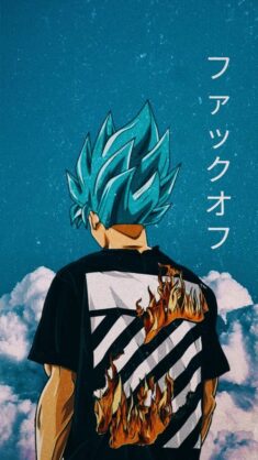If you like dragon ball (I love it) I run an editing page on Instagram. @dragon.ball.time I do a ...