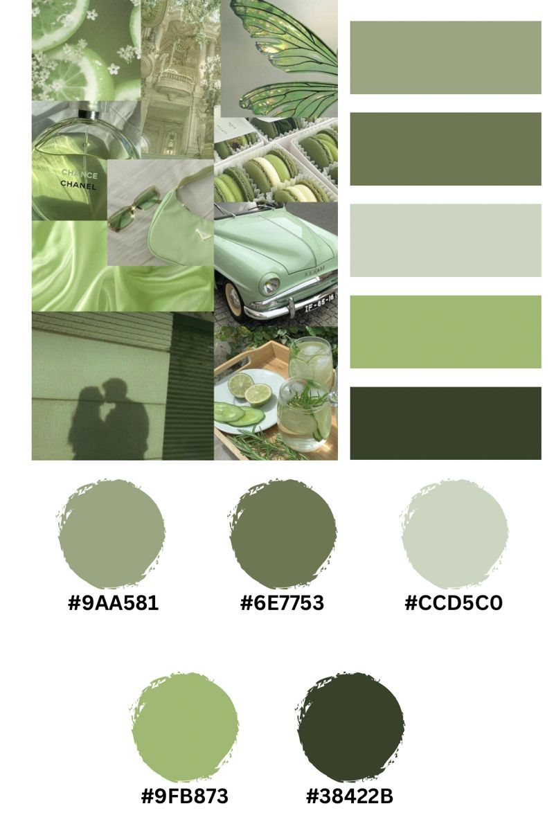 Pastel Green Aesthetic Wall Collage Hex Codes