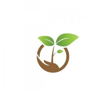 Sprout Clipart Transparent PNG Hd, Elegant Sprout On A And Agriculture Logo Design Template Vect ...
